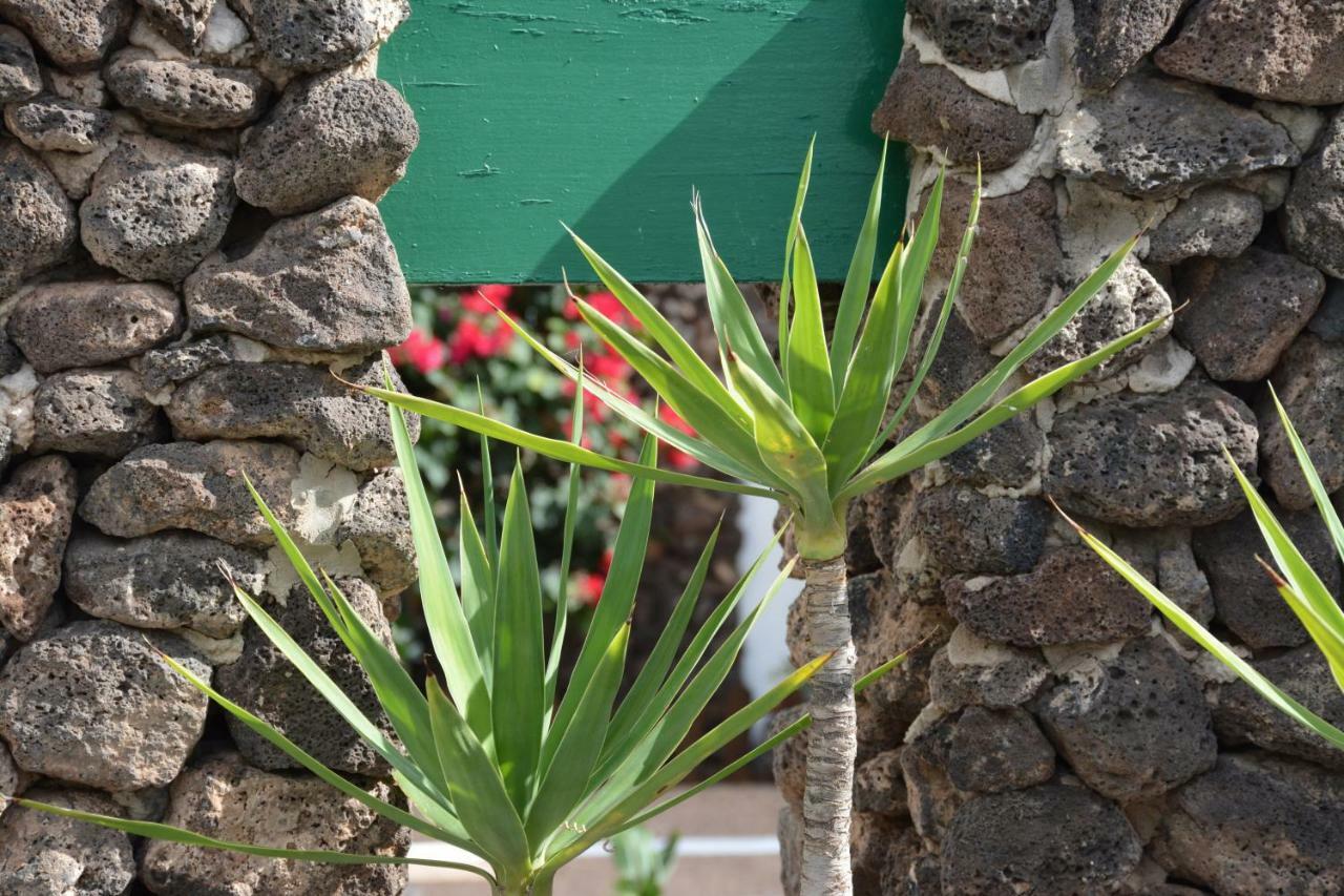 Ave Paraíso Puerto del Carmen (Lanzarote) Exterior foto